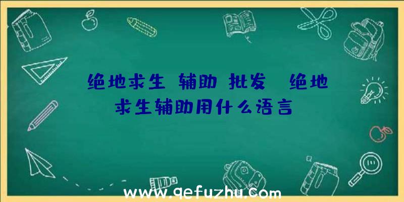 「绝地求生+辅助+批发」|绝地求生辅助用什么语言